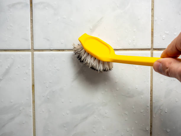 Best Home Mold Removal  in Sterling Ranch, CO